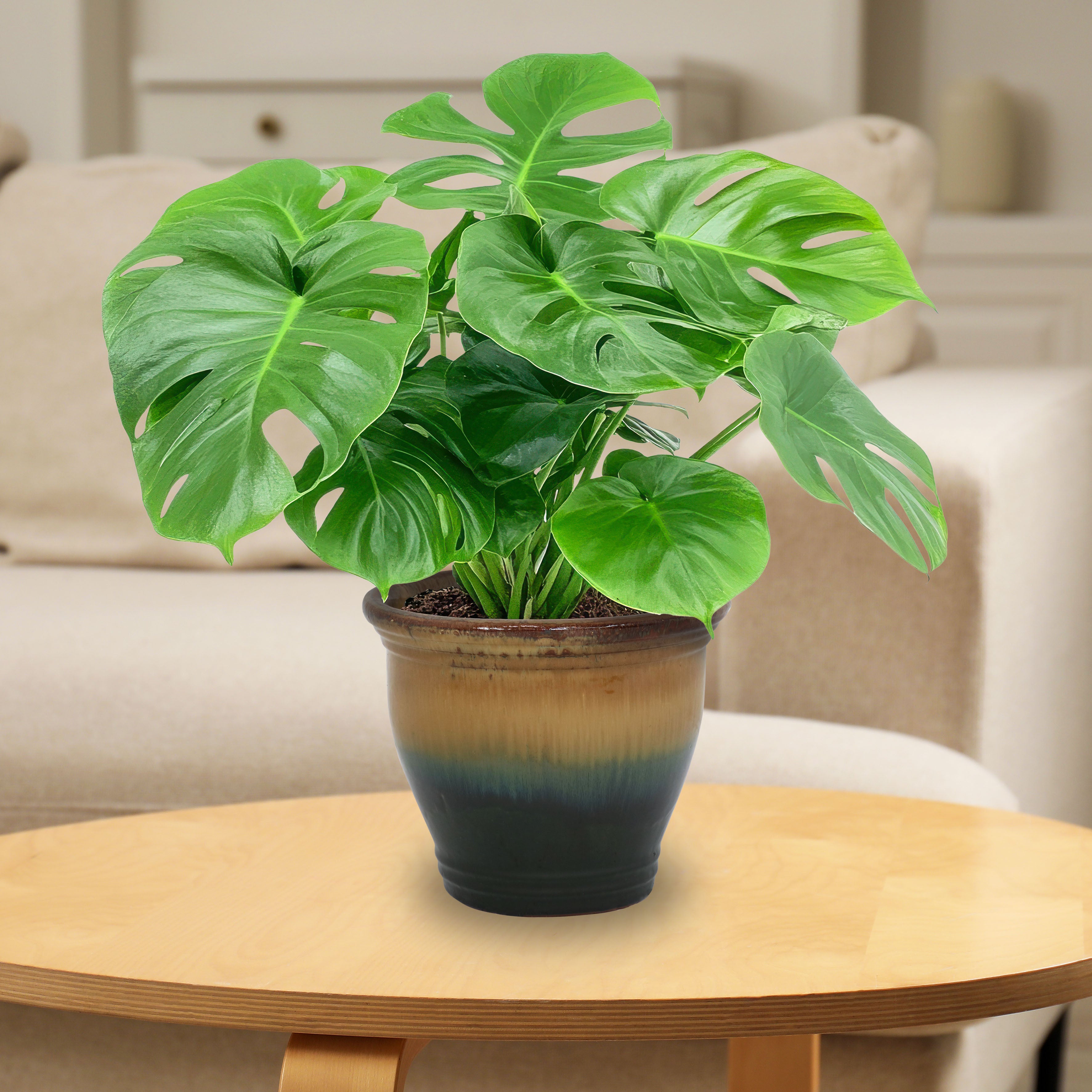 Premium Glazed Ceramic Plant Pots with Drainage Holes - Set of 2 Indoor/Outdoor Flower Planters for Home Decor, Garden & Patio