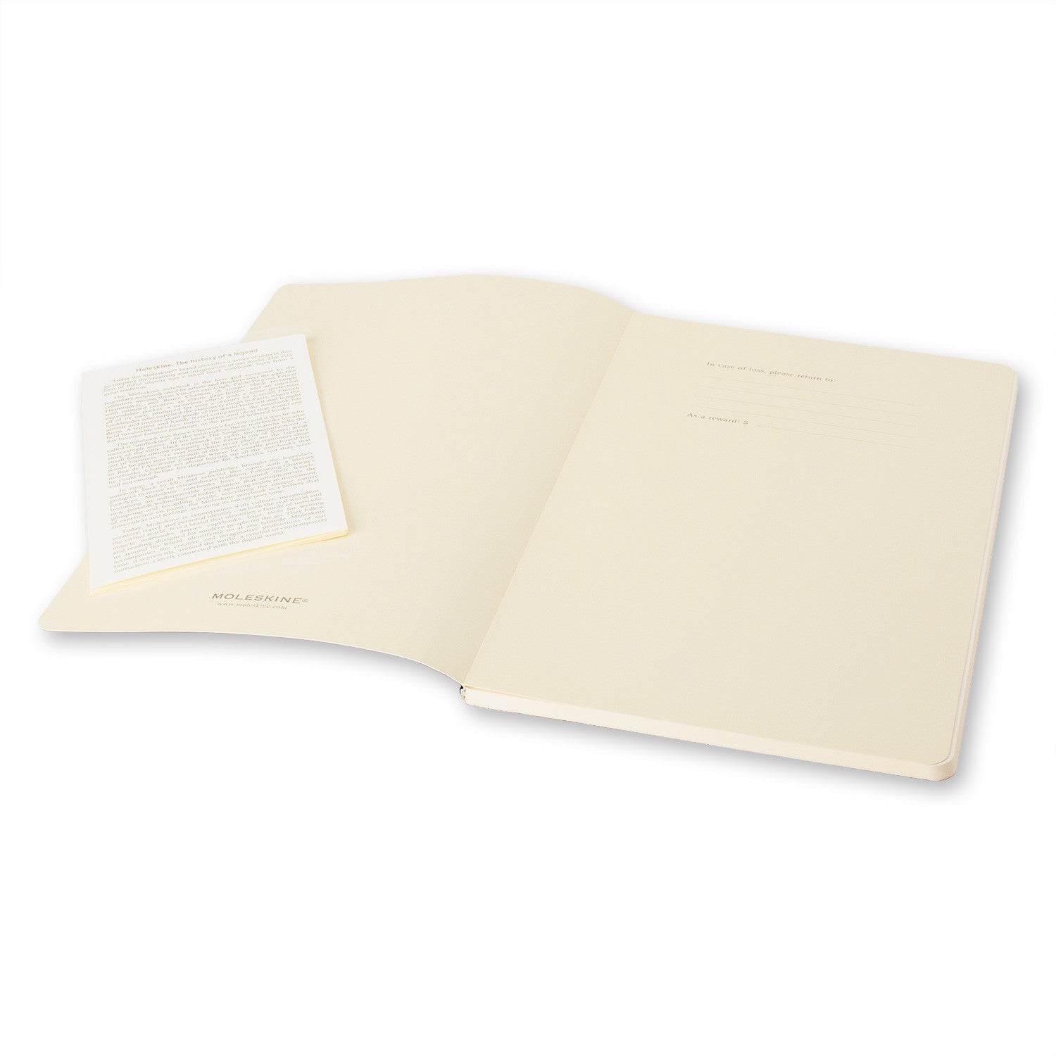 Premium Moleskine Volant Plain Notebook Set of 2 - Large Size (5