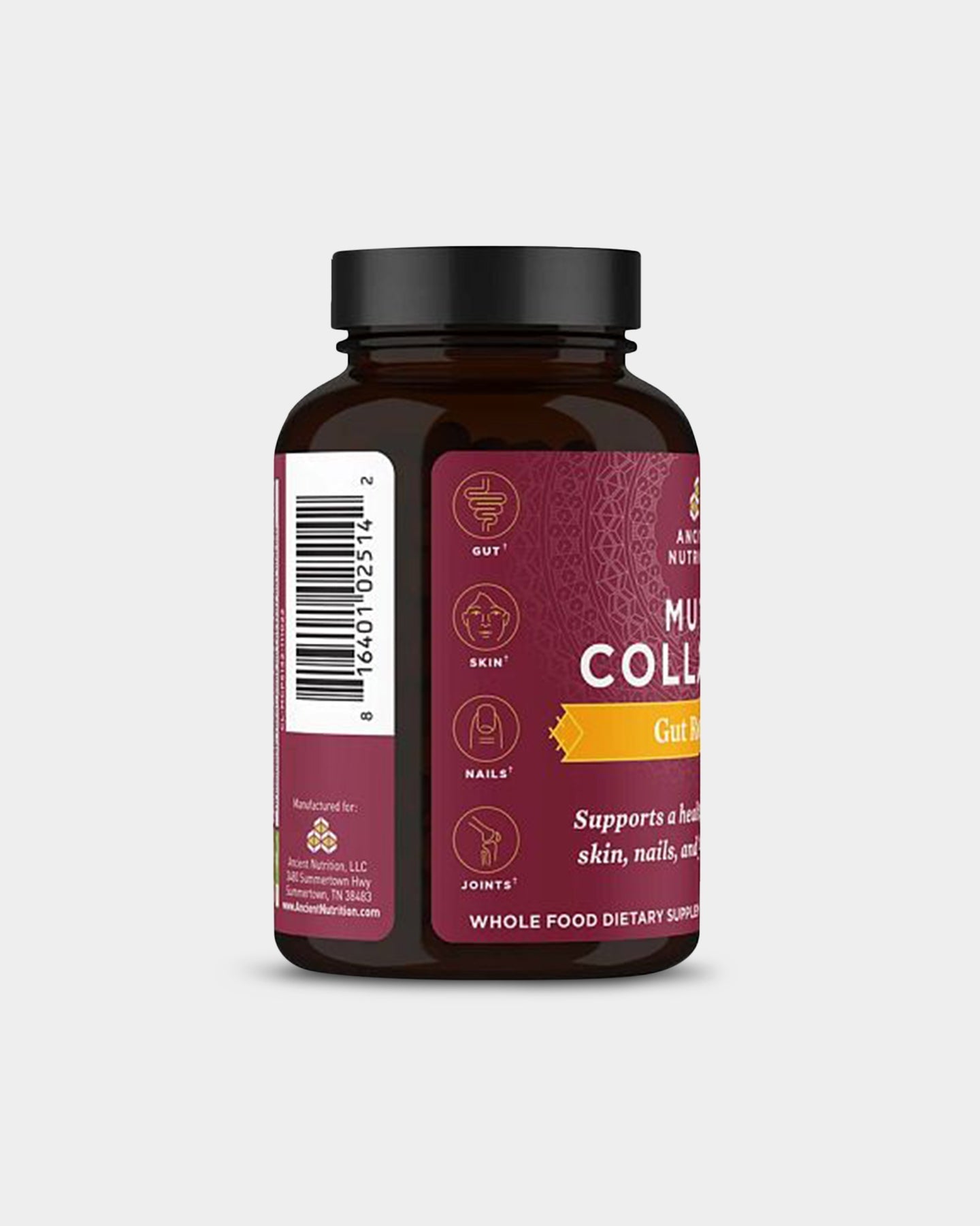 Ancient Nutrition Multi Collagen Gut Restore Powder - Supports Digestion, Skin & Joint Health - Grass-Fed Collagen Peptides for Gut Repair - Ideal for Smoothies, Coffee & Baking (30 Servings)