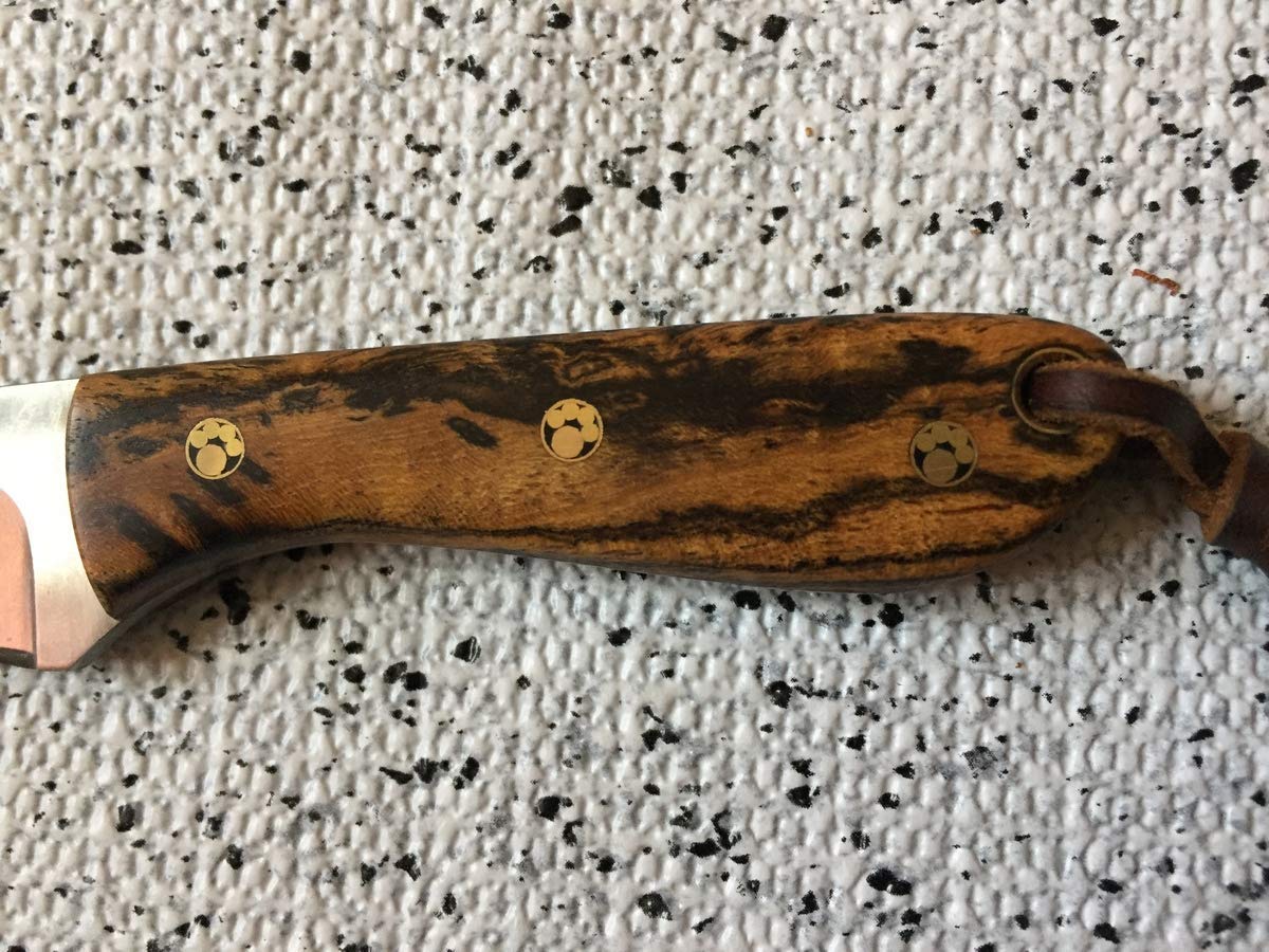 Premium High Desert Hunting Knife & EDC - Bocote Wood Handle - Outdoor Survival, Camping, Bushcraft & Everyday Carry - Tactical Fixed Blade for Hunting, Fishing & Wilderness Adventures