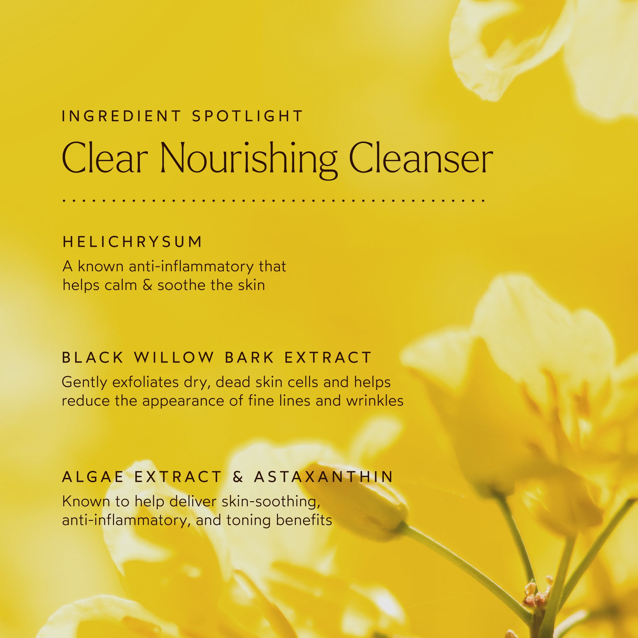 CLEAR Nourishing Facial Cleanser for Acne-Prone Skin | Gentle Daily Face Wash with Hydrating Formula | Perfect for Morning & Night Skincare Routine
