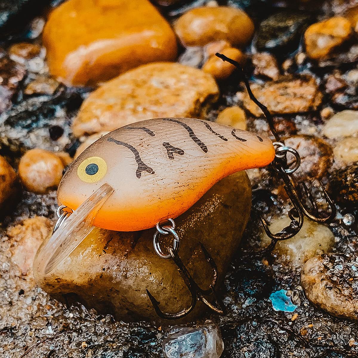 Rebel Lures Pop-R Topwater Popper Fishing Lure - Best Bass & Trout Bait for Freshwater & Saltwater - Perfect for Casting, Trolling & Shore Fishing