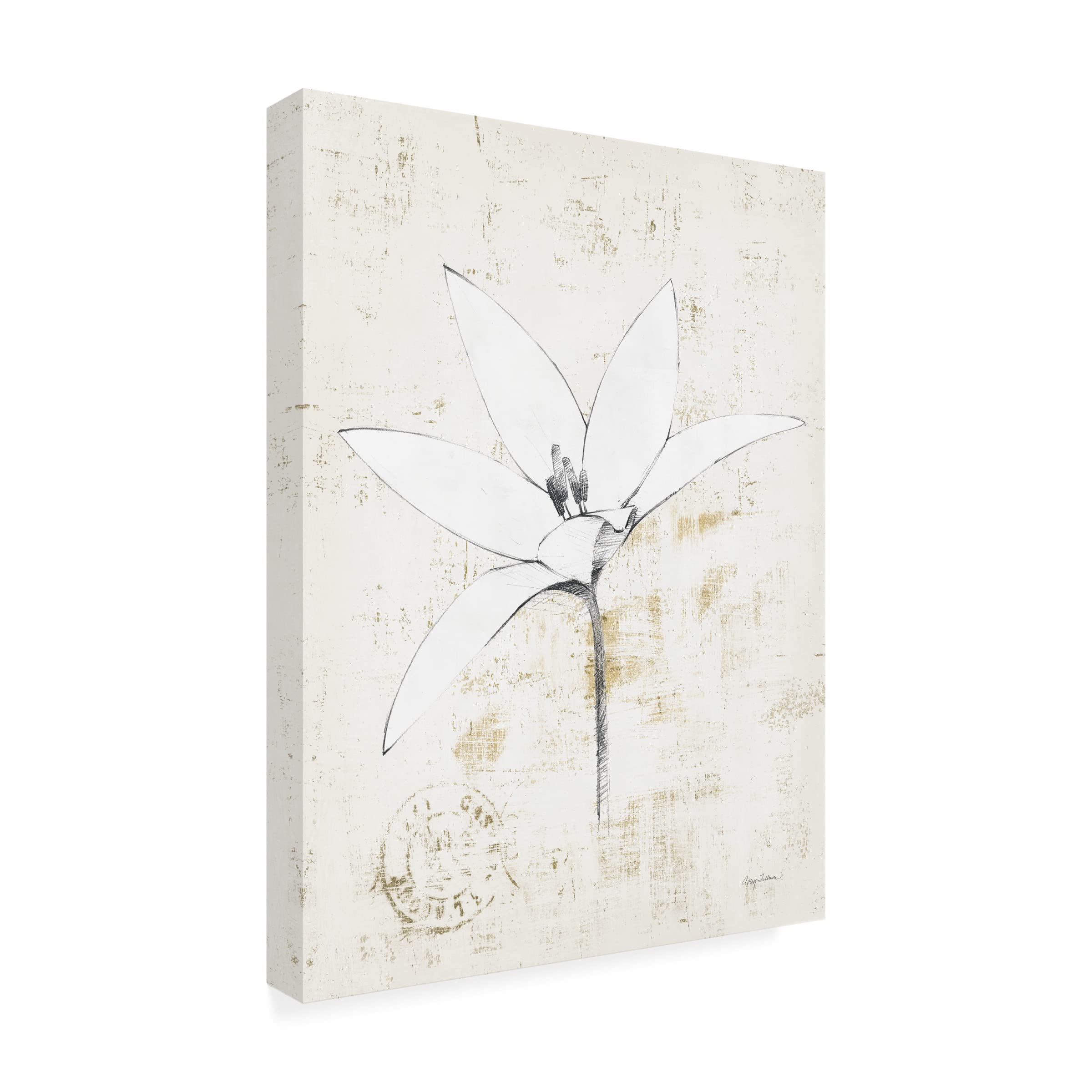 Trademark Fine Art 'Pencil Floral XII Gold' Canvas Wall Art by Avery Tillmon - Elegant Floral Painting for Living Room, Bedroom & Office Decor