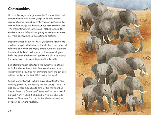 Baby Animals - A Ladybird Book | Educational Children's Book About Baby Animals | Perfect for Bedtime Stories & Early Learning