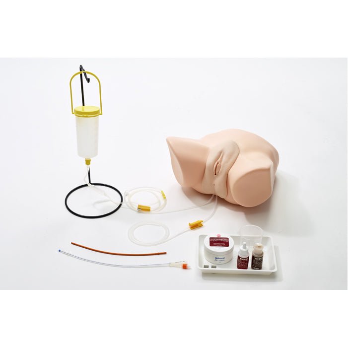 Female Catheterization & Enema Simulator - Medical Training Model for Nursing Students & Healthcare Professionals - Practice Urinary Catheter Insertion & Enema Procedures
