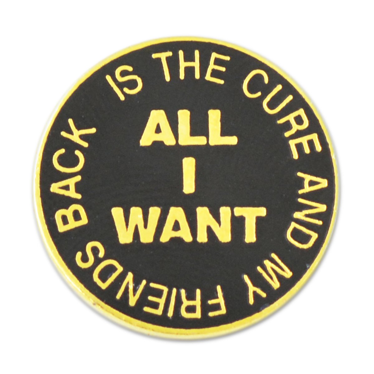 EvolveFISH 'All I Want is The Cure and My Friends Back' Lapel Pin - Vintage Music Band Enamel Pin Badge for Jackets, Backpacks & Denim - Perfect Gift for Fans of The Cure & 80s Rock Music