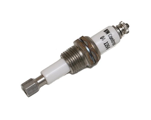 BW Controls 6012-EP1 Electrode Plug - Replacement Electrode Connector for Industrial Automation & Process Control Systems | Compatible with BW Gas Detection Equipment