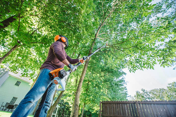 STIHL HT 105 Telescopic Pole Pruner - Professional Extendable Tree Trimmer for Landscaping, Gardening & Yard Maintenance