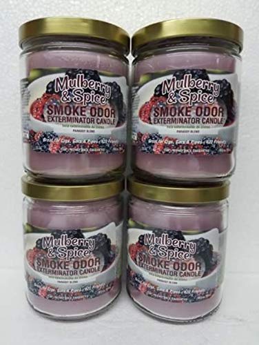 Mulberry & Spice Scented Candles Set of 4 - 13oz Smoke Odor Eliminator Jar Candles for Home, Bathroom & Relaxation