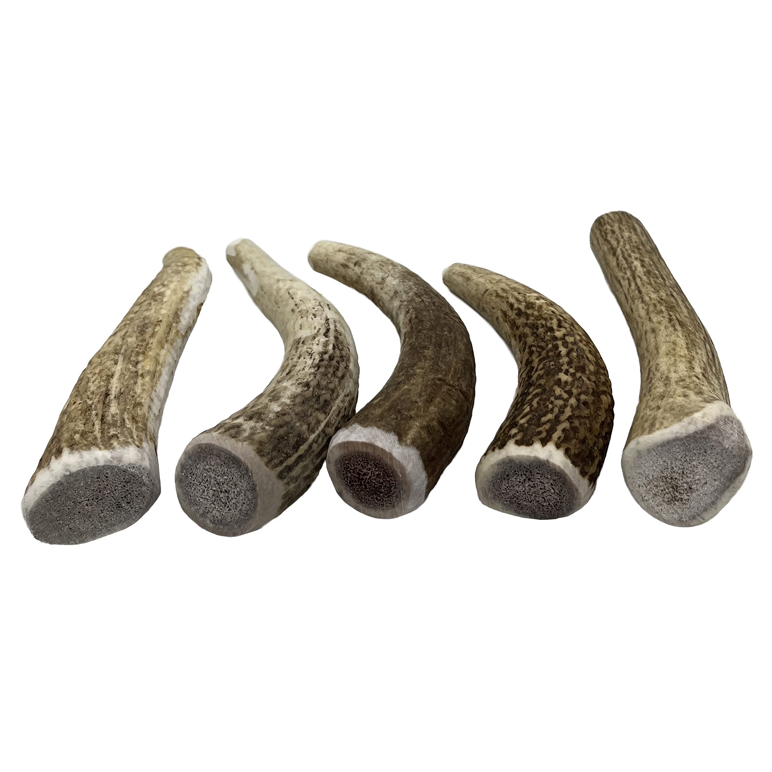 Premium USA-Collected Elk Antler Dog Chews - All Natural A-Grade Medium Whole Antlers (5-Pack) | Naturally Shed & Safe for Aggressive Chewers | Perfect for Dental Health & Long-Lasting Entertainment