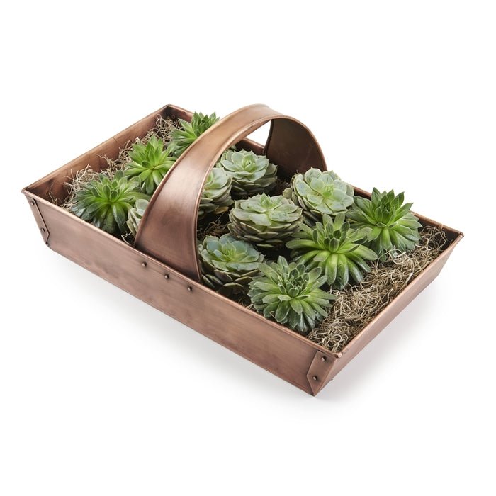 Large Garden Trug Basket - Durable Harvesting Basket for Fruits, Vegetables & Flowers - Perfect for Gardening, Farmers Market & Outdoor Gatherings