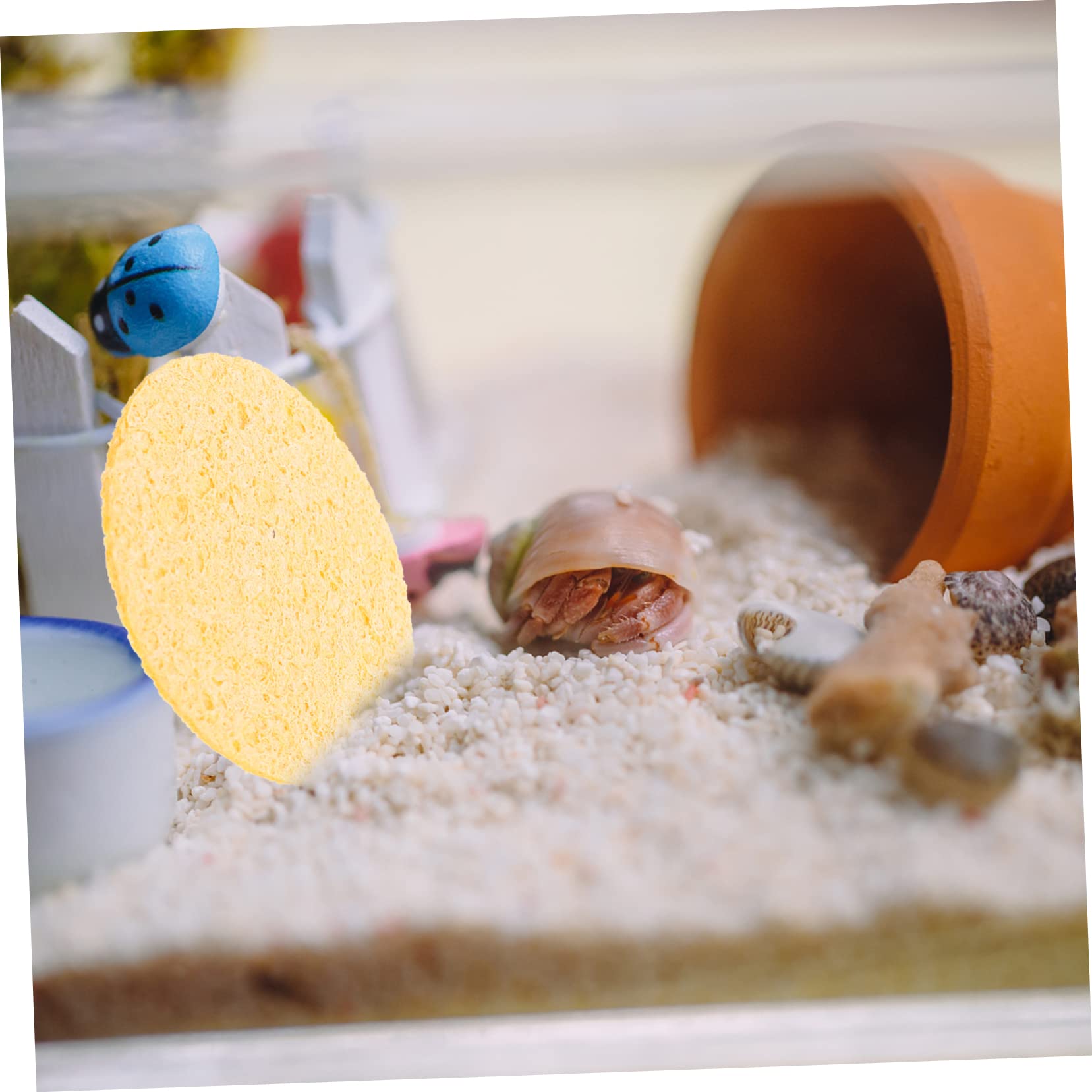 Premium Hermit Crab Cleaning & Drinking Sponges - 12 Pack Natural Safe Sponge Set for Pet Crab Habitat - Ideal for Terrarium, Cage & Tank Maintenance