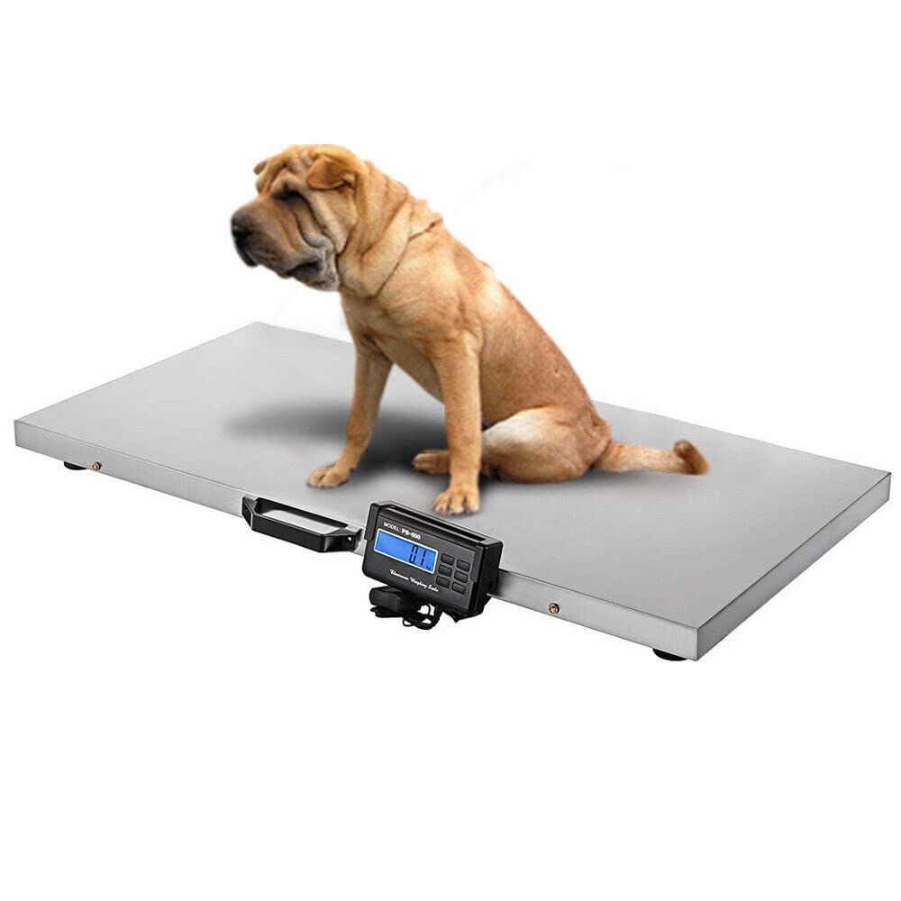 500kg/1100Lbs Heavy Duty Digital Livestock Scale with Large 103x53cm Stainless Steel Platform - Accurate Weighing for Animals, Pets & Farm Use (Cattle, Sheep, Pigs, Dogs, Cats, Goats) - Ideal for Veterinary Clinics, Farms, Animal Husbandry & Shipping