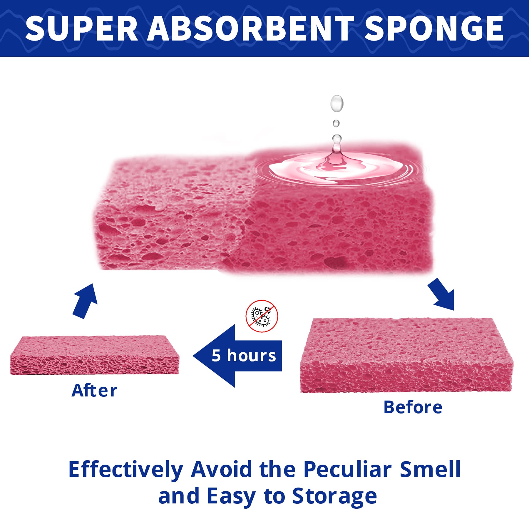 CELOX 24 Pack Large Kitchen Sponges - Super Absorbent Eco-Friendly Cellulose Dish Sponges for Cleaning Dishes, Countertops & More (4.5