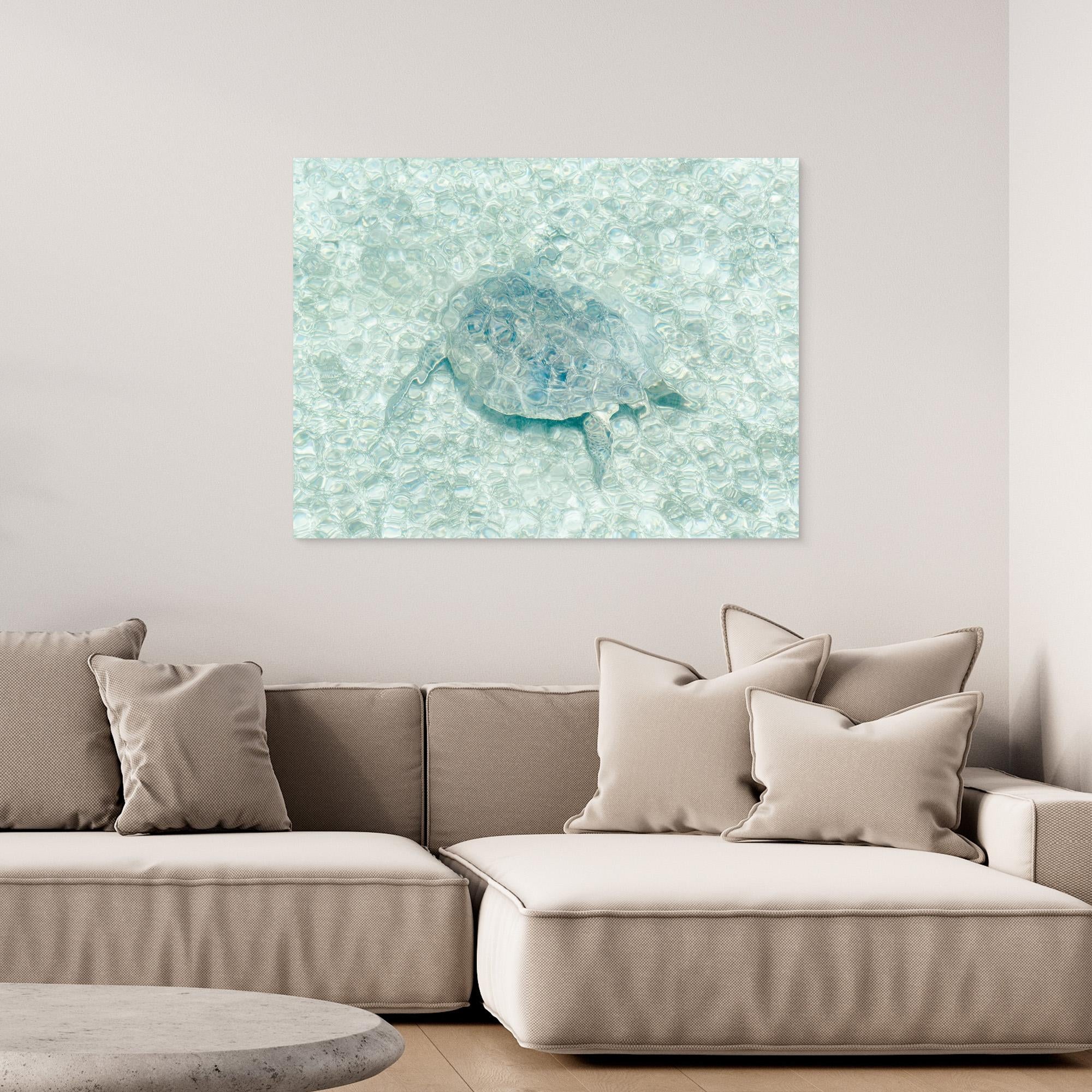 Turtle Underwater Canvas Print - Stunning Ocean Wildlife Wall Art by Photolovers - Perfect for Beach House Decor & Marine Theme Rooms