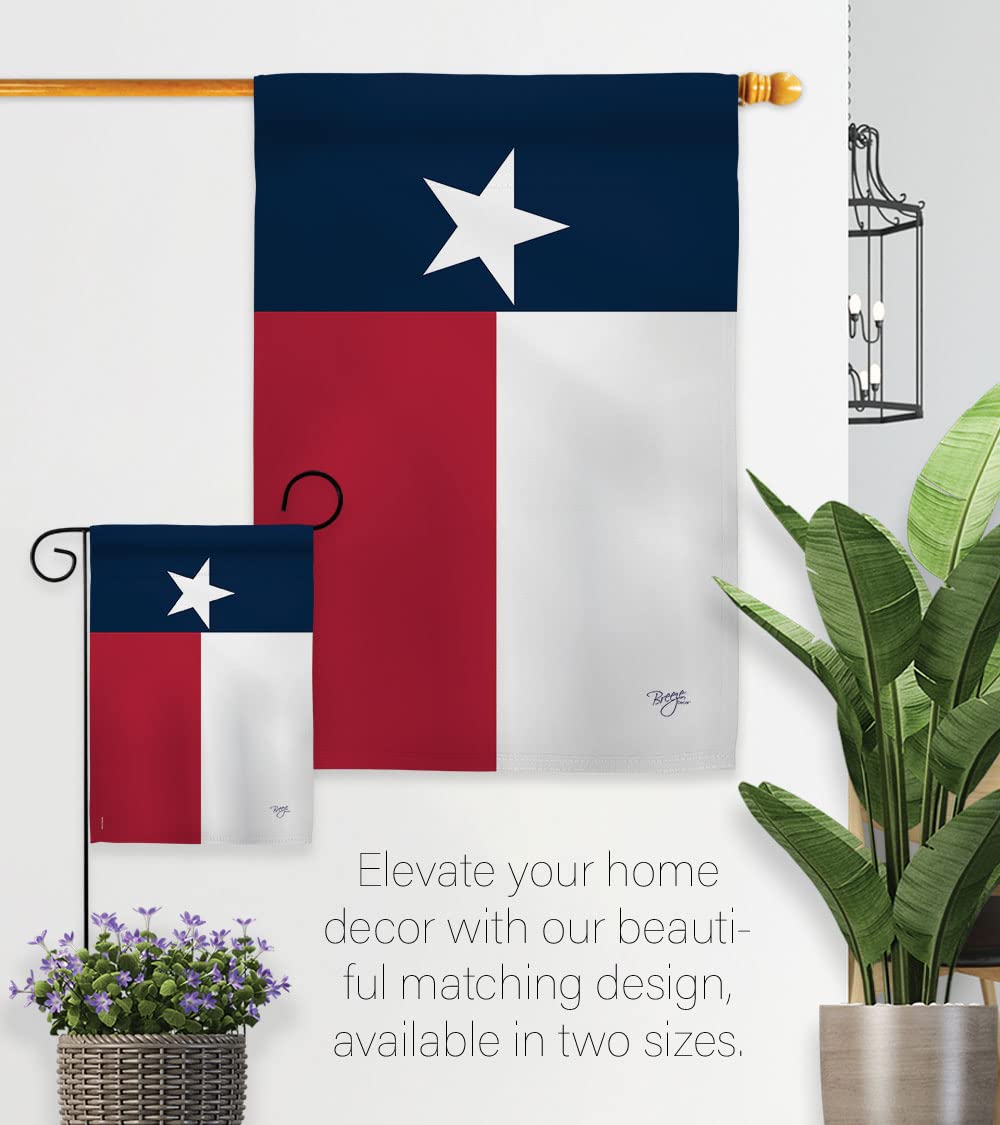 Texas Americana House Flag Set 28x40