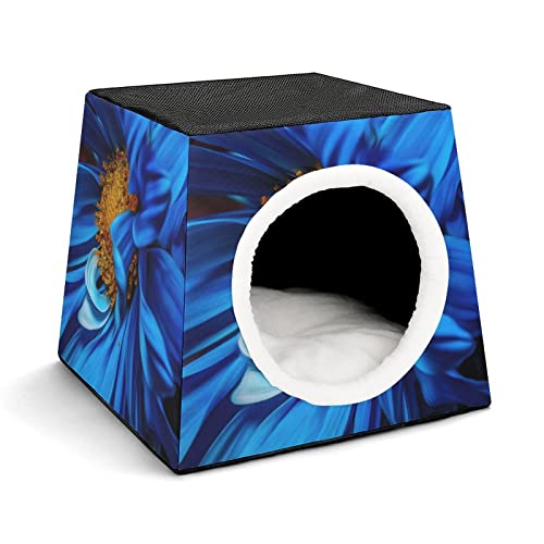 Color7