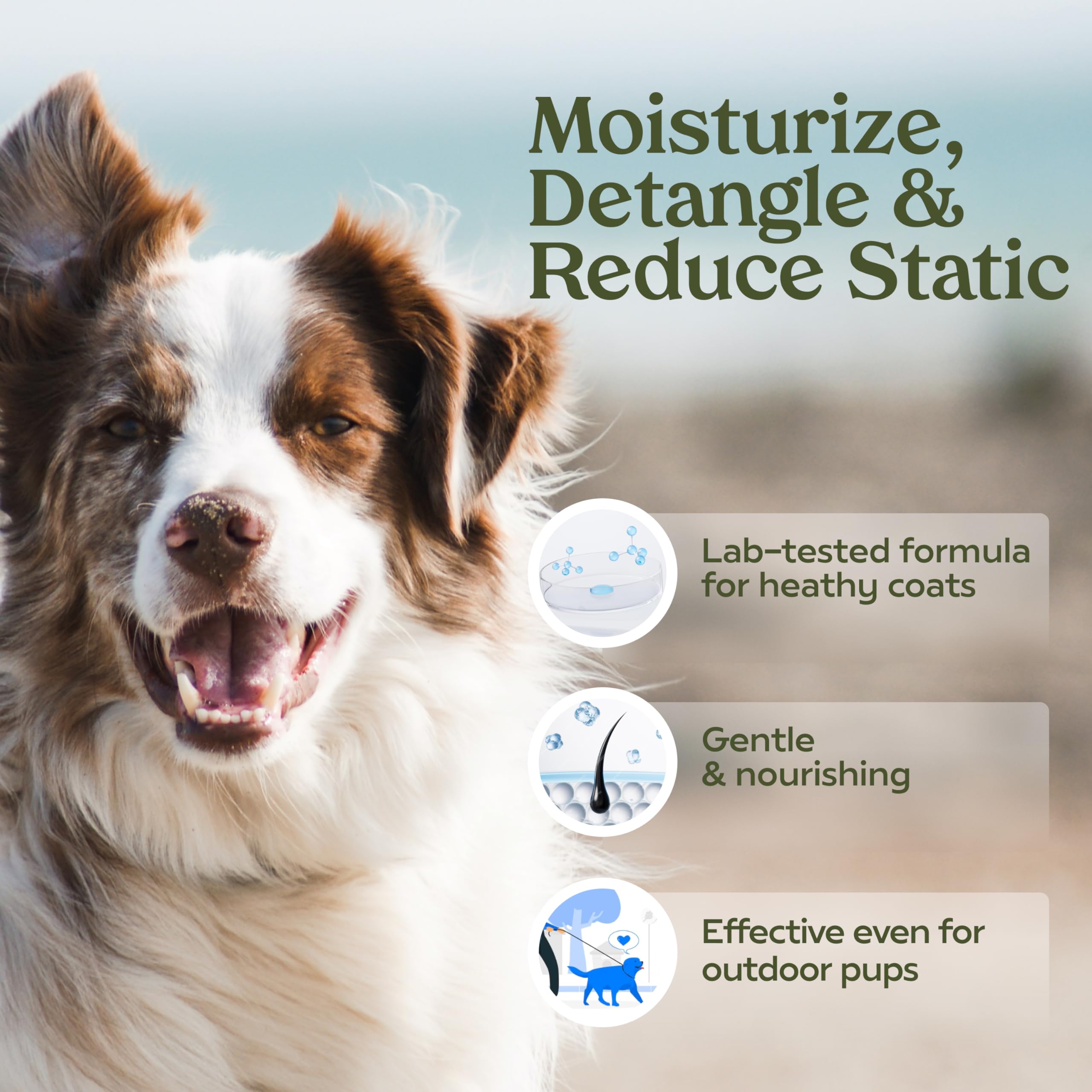 PAWFUME Premium Grooming Dog Spray for Show Dogs & Blue Ribbon - Odor Control & Shine Enhancer for Professional Dog Grooming, Shows & Daily Care