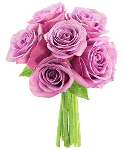 Purple Rose
