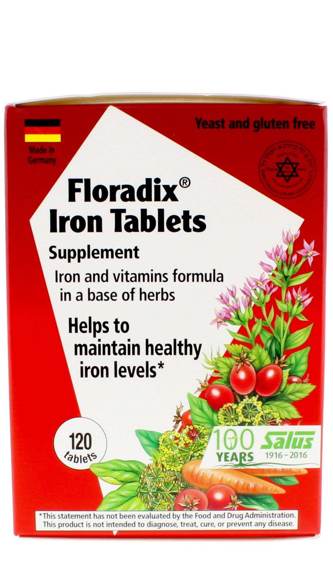 Floradix Iron Tablets - Vegetarian Iron Supplement for Energy & Vitality, 120 Count - Supports Healthy Blood & Energy Levels for Active Lifestyles