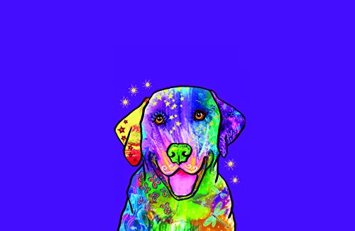 Golden Retriever Rainbow