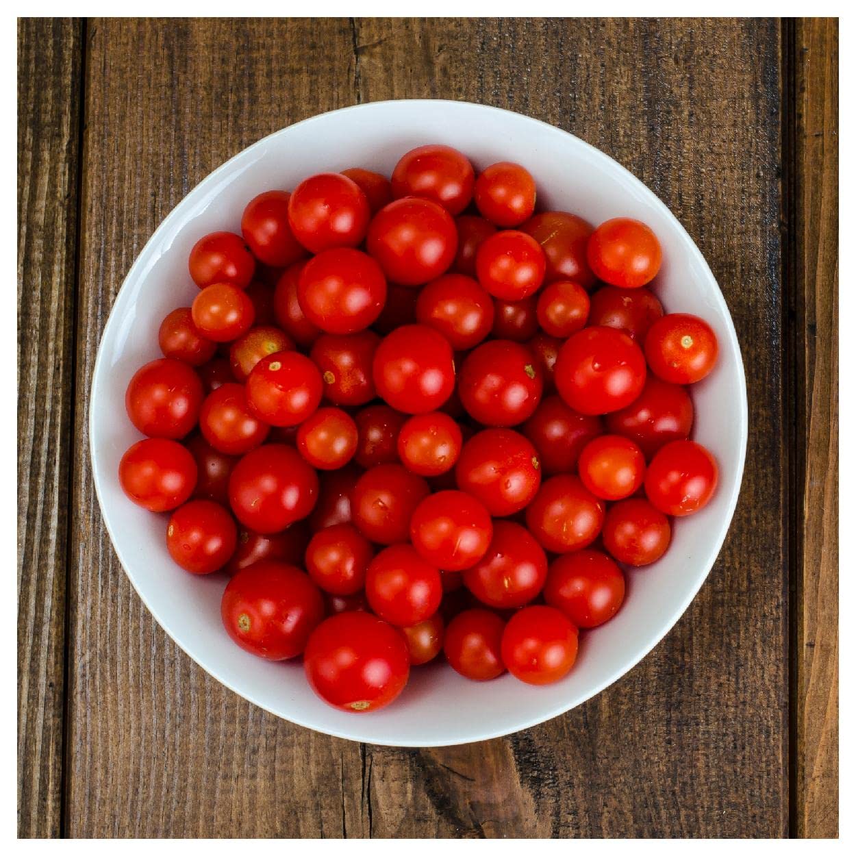 Everwilde Farms - 1/4 Lb Organic Tiny Tim Tomato Seeds for Home Gardening - Non-GMO, Heirloom Variety - Perfect for Containers, Patios & Small Spaces - Gold Vault Packaging