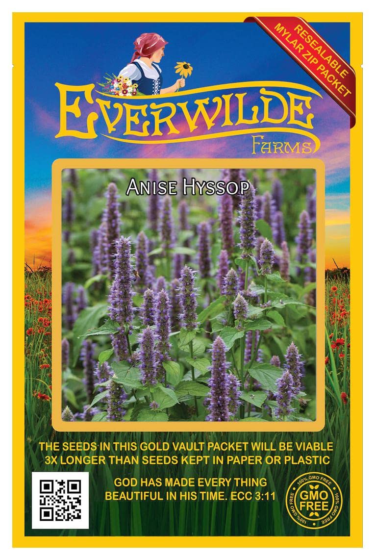Everwilde Farms - 2000 Anise Hyssop Native Wildflower Seeds - Non-GMO, Heirloom Seeds for Pollinator Gardens, Herb Gardens & Landscaping - Gold Vault Jumbo Seed Packet (Ideal for Butterfly Gardens, Culinary Use & Aromatic Landscapes)