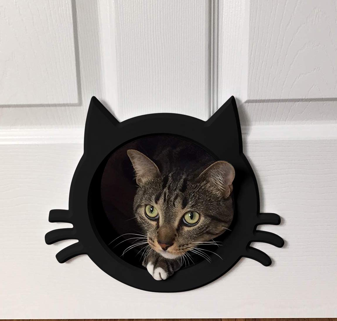 Cozy Cat Cave with Interior Door - Perfect for Indoor Cats