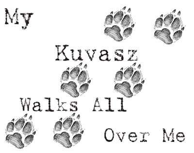 My Kuvasz Walks All Over Me Funny Dog Lover T-Shirt - Comfortable Cotton Graphic Tee for Dog Owners, Kuvasz Breed Fans & Pet Lovers - Perfect for Casual Wear, Dog Parks & Pet-Themed Events