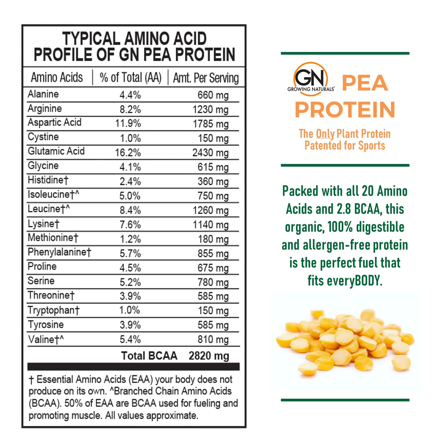 Organic Pea Protein Powder | Vegan Plant-Based Protein Supplement with BCAA | Low-Carb, Low-Sugar, Unflavored | 1lb (16oz) for Smoothies, Baking & Post-Workout Recovery