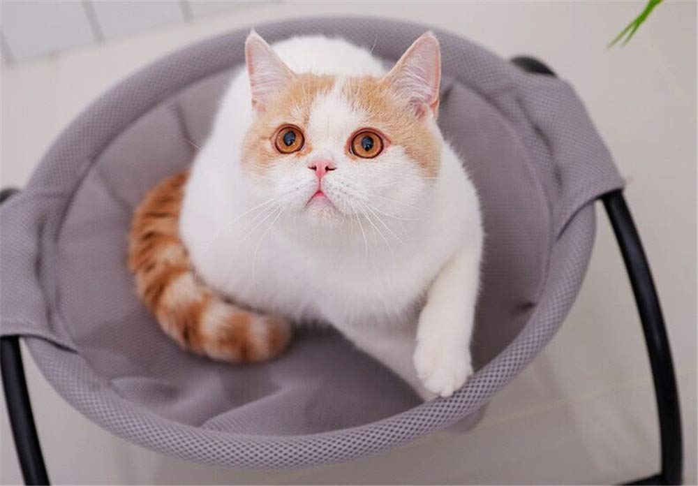 Premium Elevated Cat Hammock Bed - Detachable Pet Bed for Kittens & Puppies - Soft Sleeping Bed for Indoor & Outdoor Use - Perfect for Lounging, Napping & Sunbathing