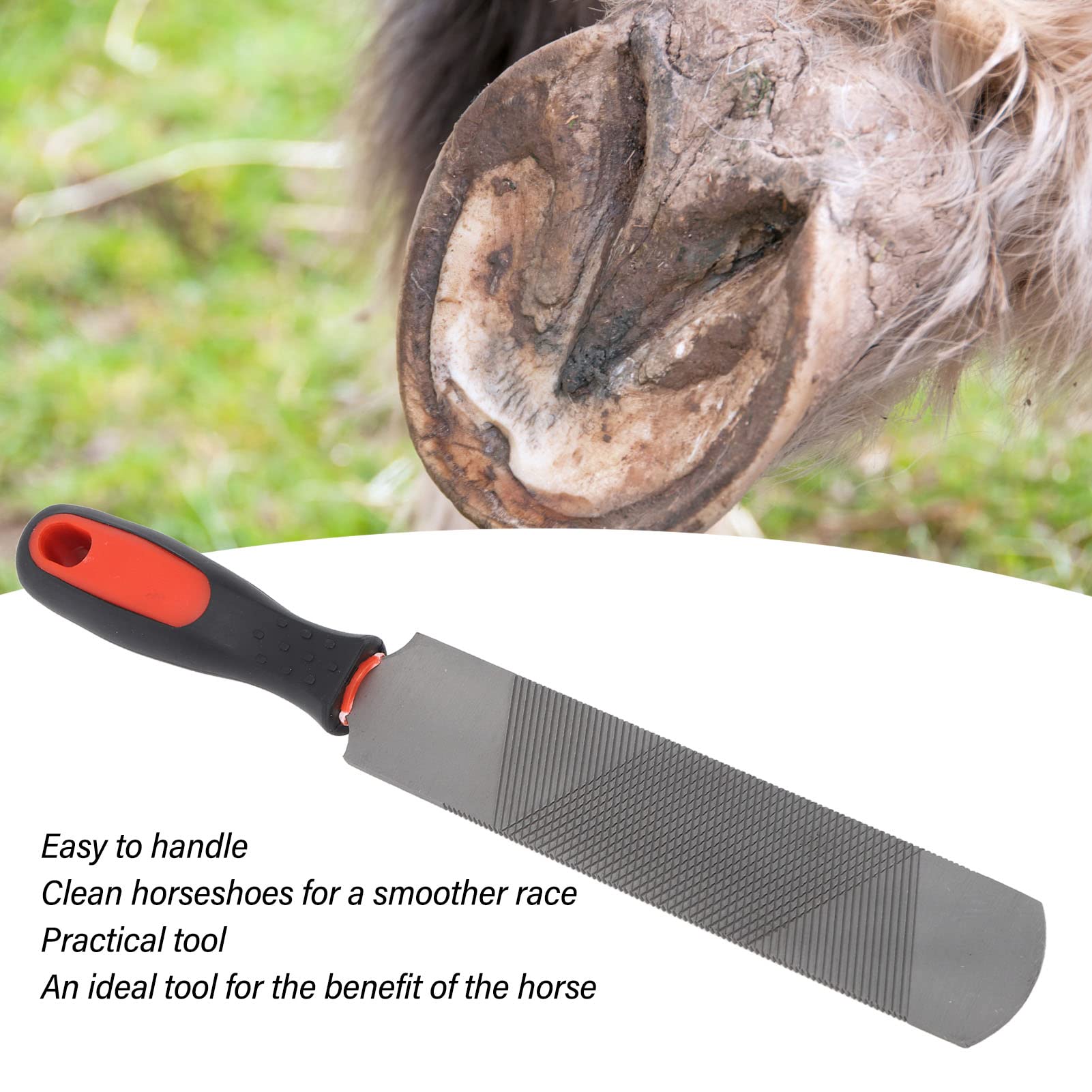 8 Inch Farrier Rasp File with Rubber Handle - Carbon Steel Hoof Trimming Tool for Horses, Pigs, Goats - Professional Farrier File for Horseshoes & Animal Hoof Care - Ideal for Stable, Farm, and Veterinary Use