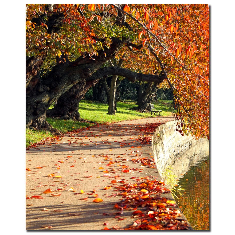 Trademark Fine Art 'So Quietly' Canvas Wall Art by CATeyes - Perfect for Living Room, Bedroom & Office Decor