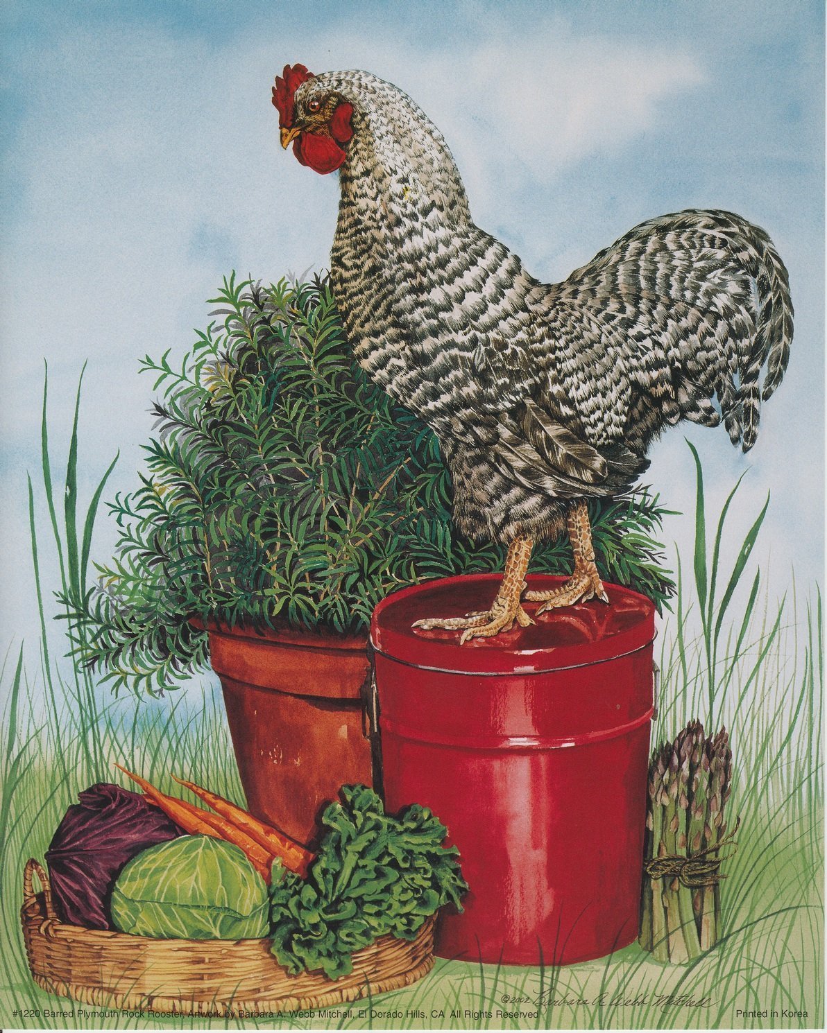 Barred Plymouth Rock Rooster Chicken Wall Art Print - 16x20 Inch Farmhouse Decor Poster - Perfect for Kitchen, Living Room & Country Style Home Decor