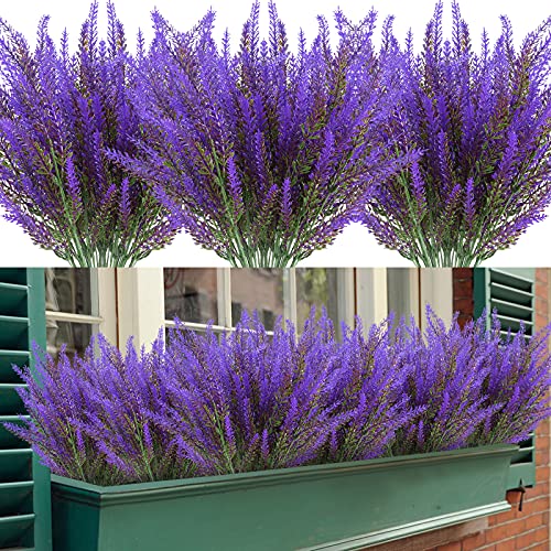 Lavender-purple