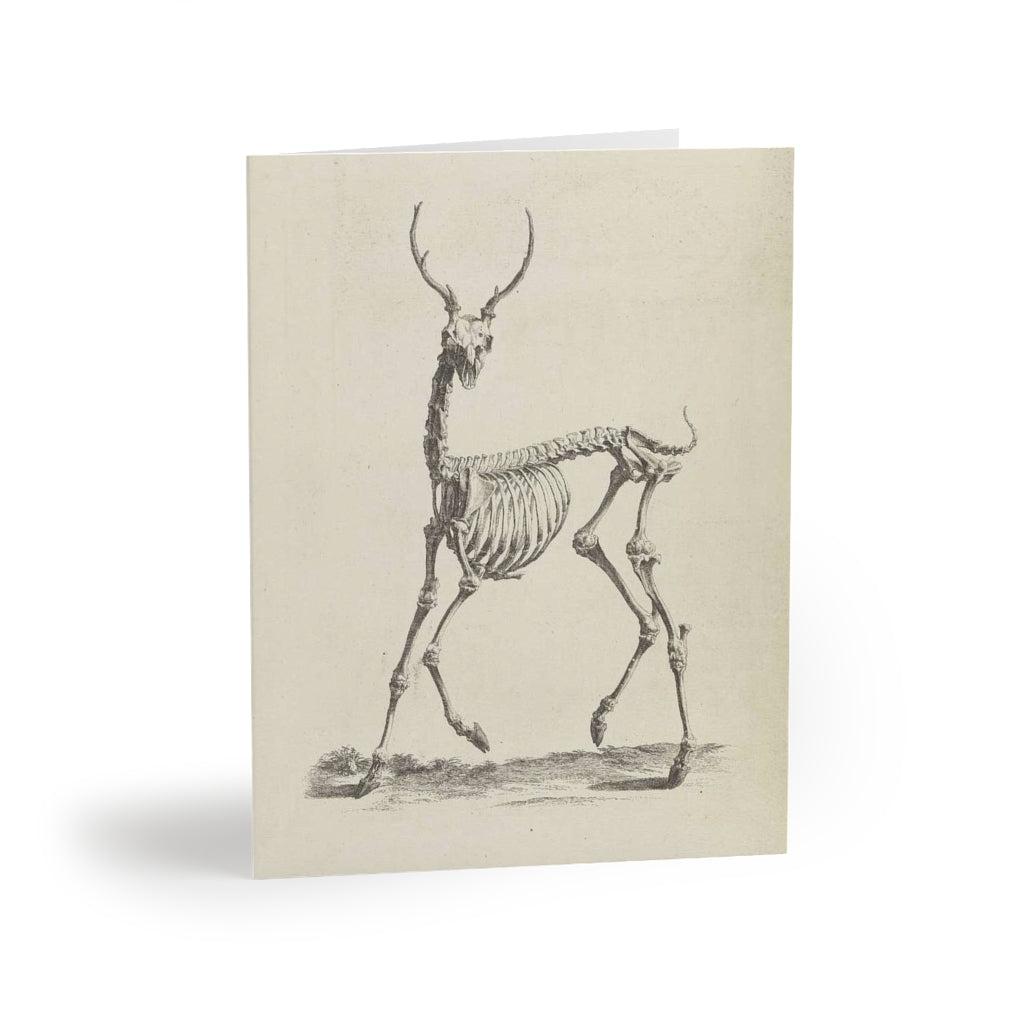 Deer Skeleton Greeting Cards - 10 Pack Halloween Themed Blank Note Cards with Envelopes - Perfect for Spooky Party Invitations, Halloween Decorations, and Gothic Gift Giving