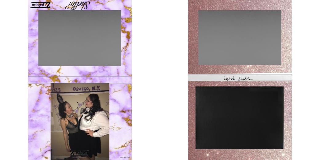 Custom Extra Large Z Palette - Magnetic Makeup Palette for Eyeshadows & Blush - Perfect for Professional Artists & Travel Makeup Organizers