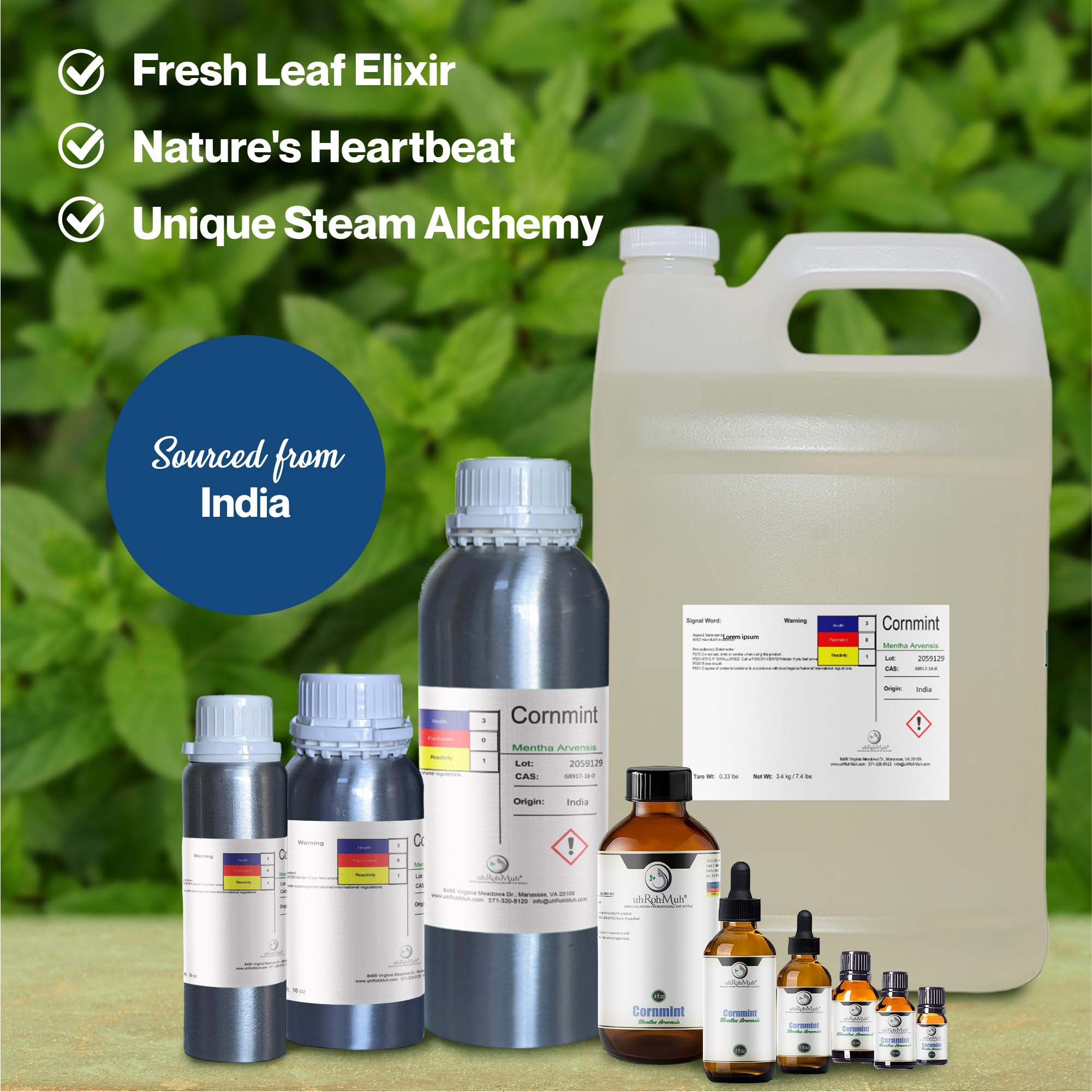100% Pure & Natural Cornmint Essential Oil for Aromatherapy - Refreshing Minty Scent, Home Diffuser Oil, Skincare Ingredient - 8oz Bottle, Sourced from India - Perfect for Relaxation, Stress Relief & Room Freshening