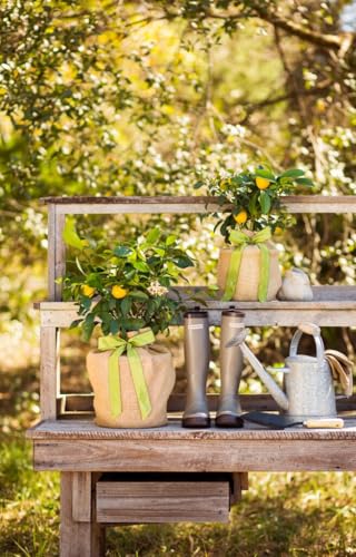 Housewarming Floral