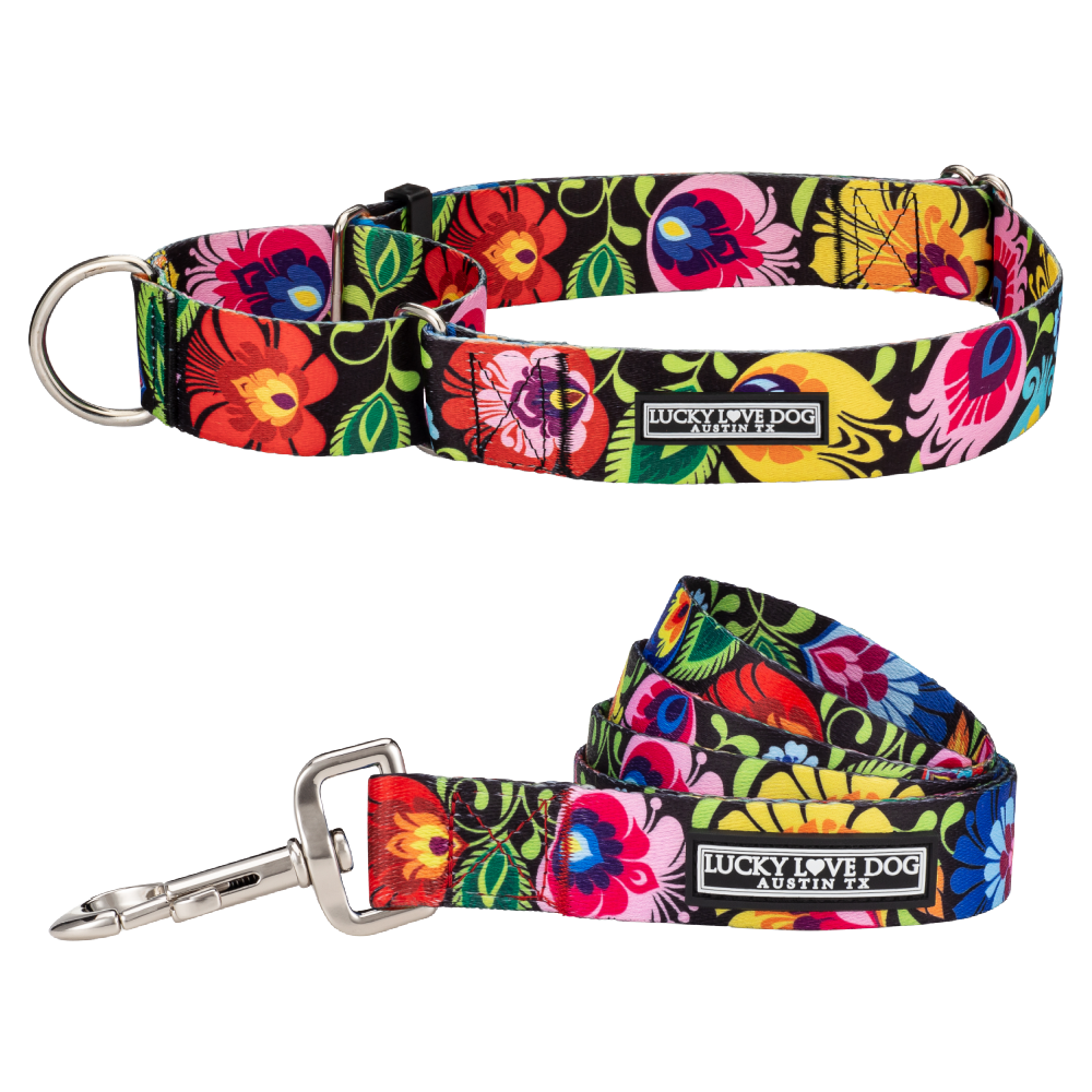 WIDE Blackbird Collar - Adjustable Dog Collar for Small Medium Large Dogs, Durable Nylon Pet Collar with Metal Buckle - Perfect for Walking, Training, and Outdoor Adventures