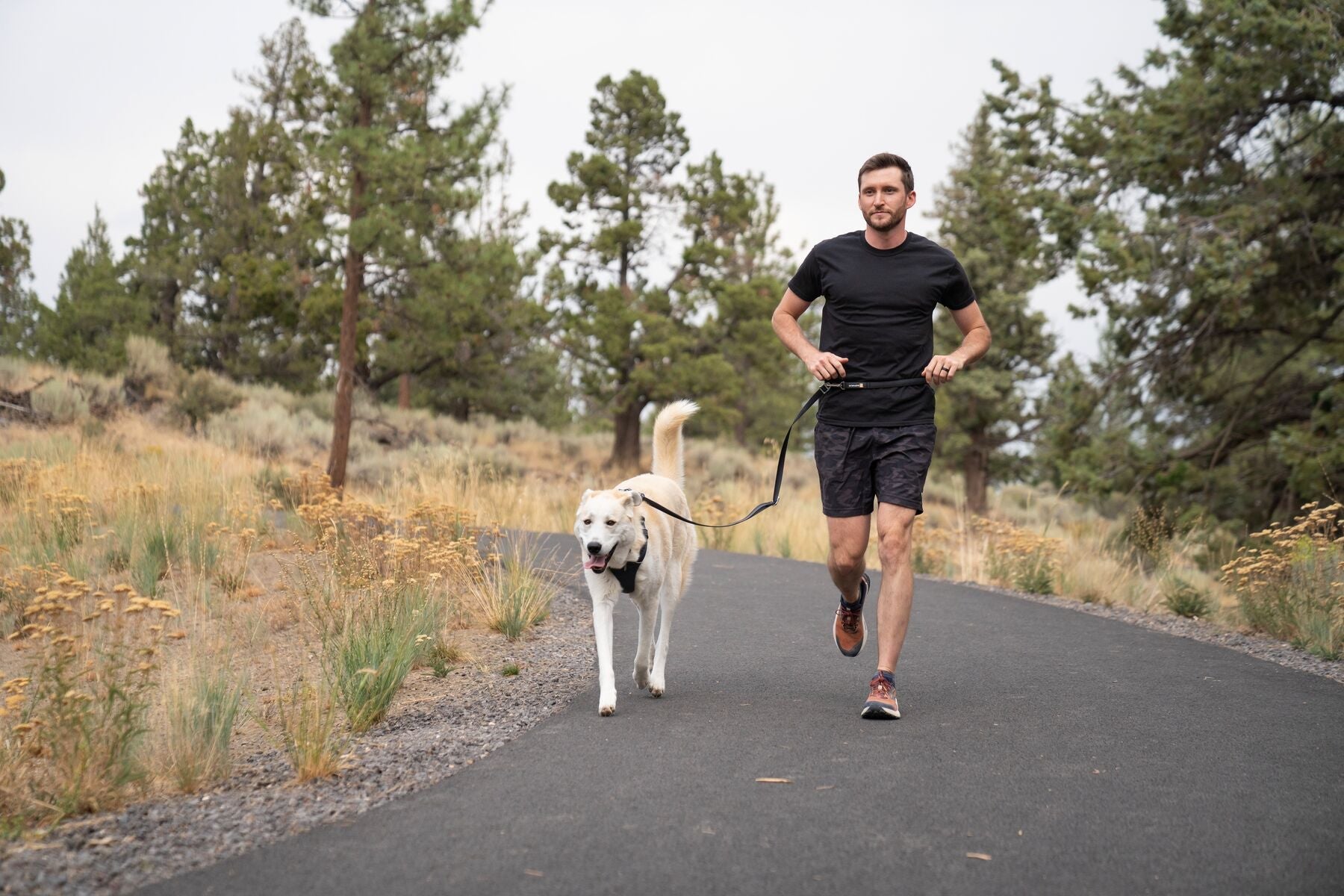 Ruffwear Switchbak Multi-Function Dual Leash Hands-Free Dog Walking Belt - Basalt Gray - Perfect for Hiking, Running & Outdoor Adventures with Your Dog