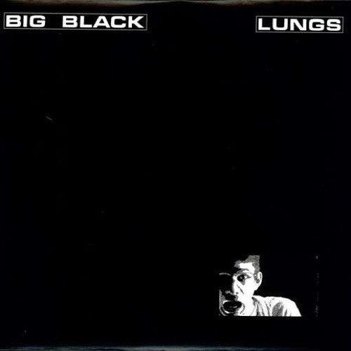 Big Black Lungs - Premium Quality Lung Model for Medical Education & Anatomy Study | Ideal for Classroom, Lab & Healthcare Training