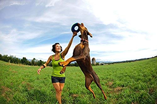 ChuckIt! Zipflight Flyer - Floating Dog Frisbee Toy for Medium Dogs | Gentle on Teeth & Gums | Perfect for Beach, Pool & Outdoor Play