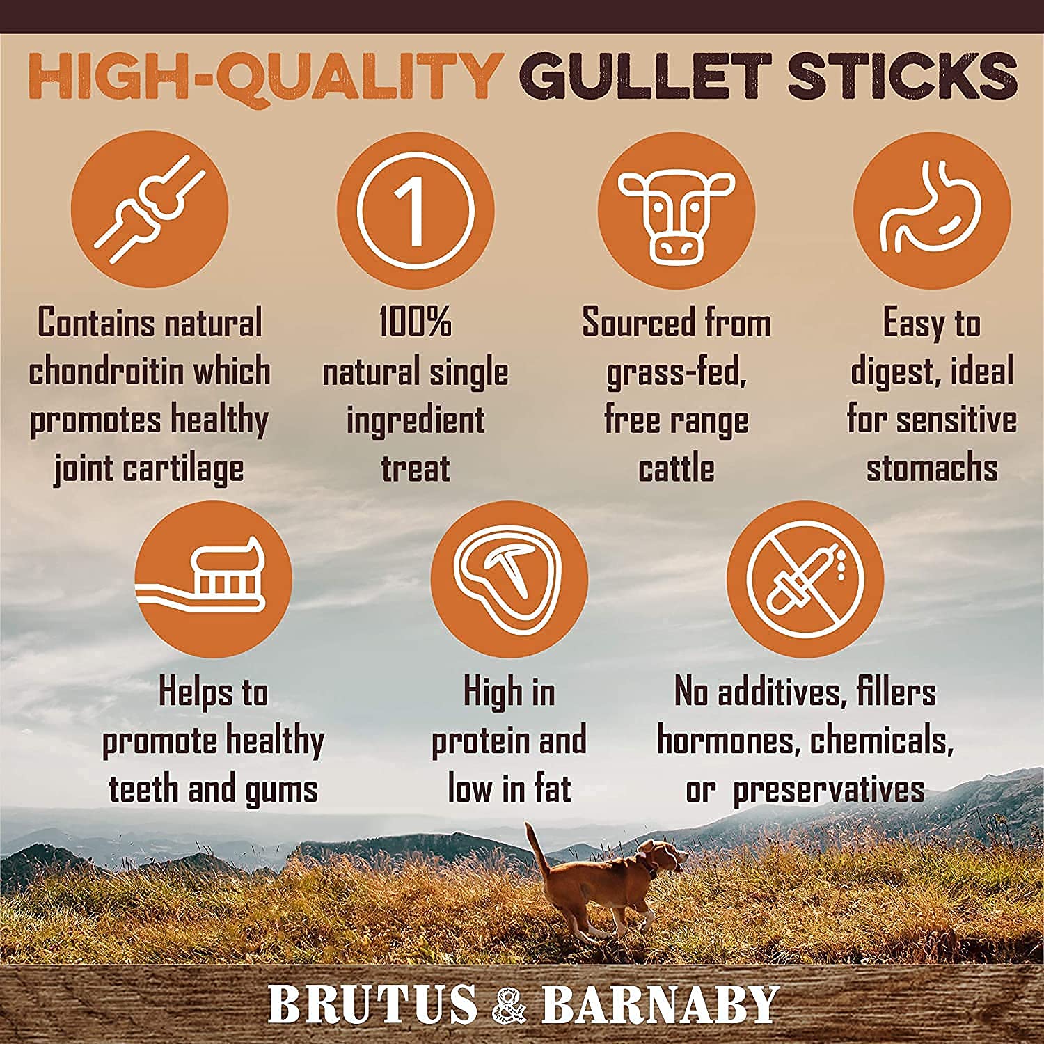BRUTUS & BARNABY Sweet Potato Dog Treats 14oz + Beef Jerky 15-Count - Healthy Natural Snacks for Small & Large Dogs - Perfect for Training, Rewards & Dental Health