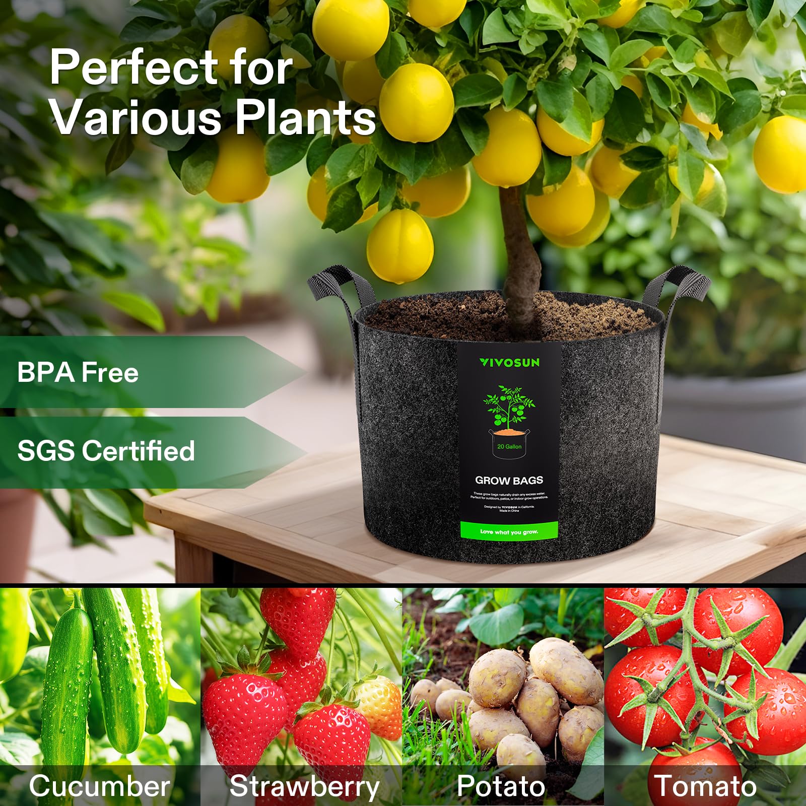 VIVOSUN 5-Pack 25 Gallon Heavy Duty Thickened Nonwoven Fabric Plant Grow Bags with Handles - Perfect for Indoor/Outdoor Gardening, Vegetables, Flowers & Herbs