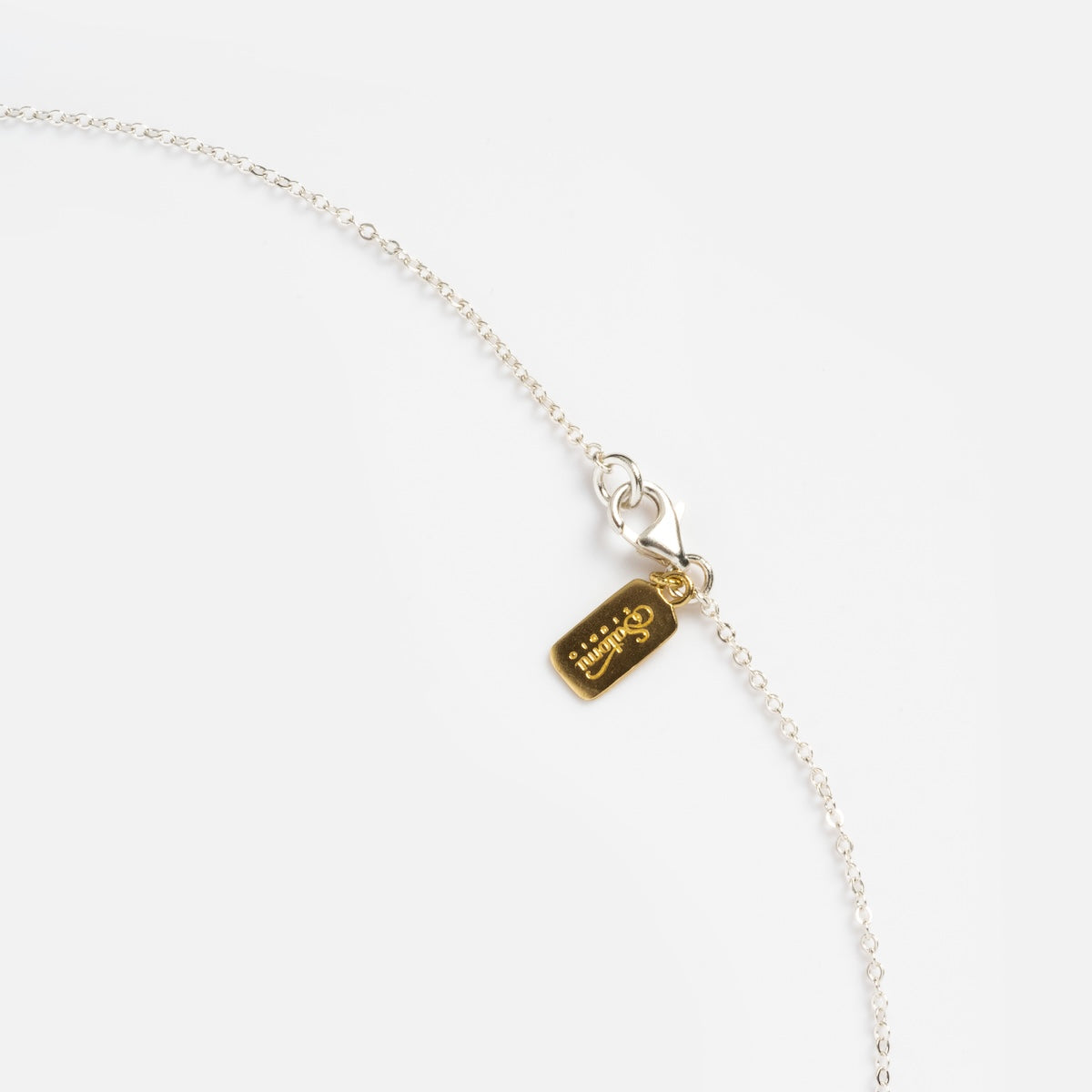 Scarab Pendant Necklace - Ancient Egyptian Beetle Amulet Jewelry for Men & Women - Perfect for Spiritual Protection, Fashion Accessories & Gift Giving