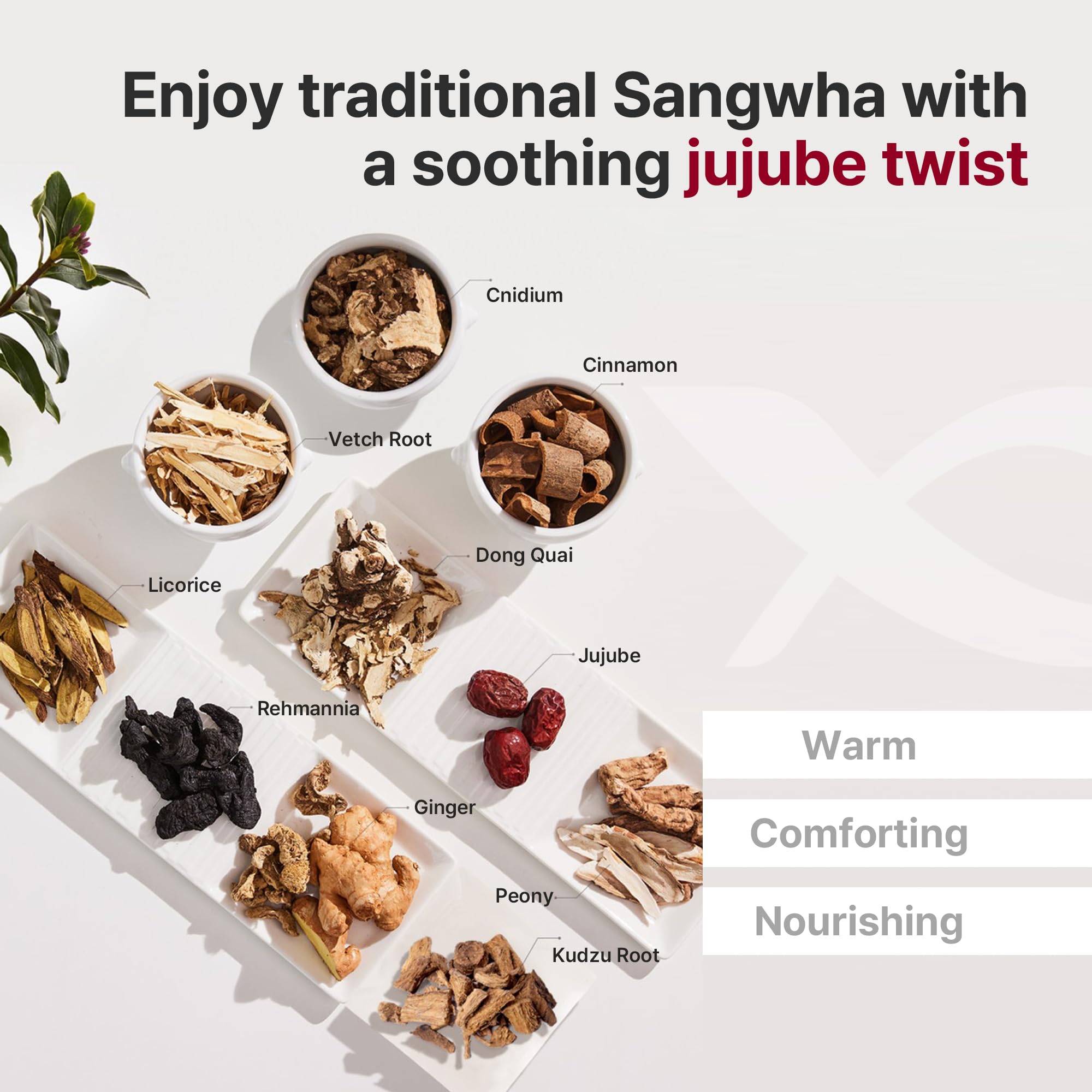 Korean Herbal Tea Ssang Hwa Jin - Immune Support & Energy Boost for Wellness & Cold Relief - 10 Jujube Packs