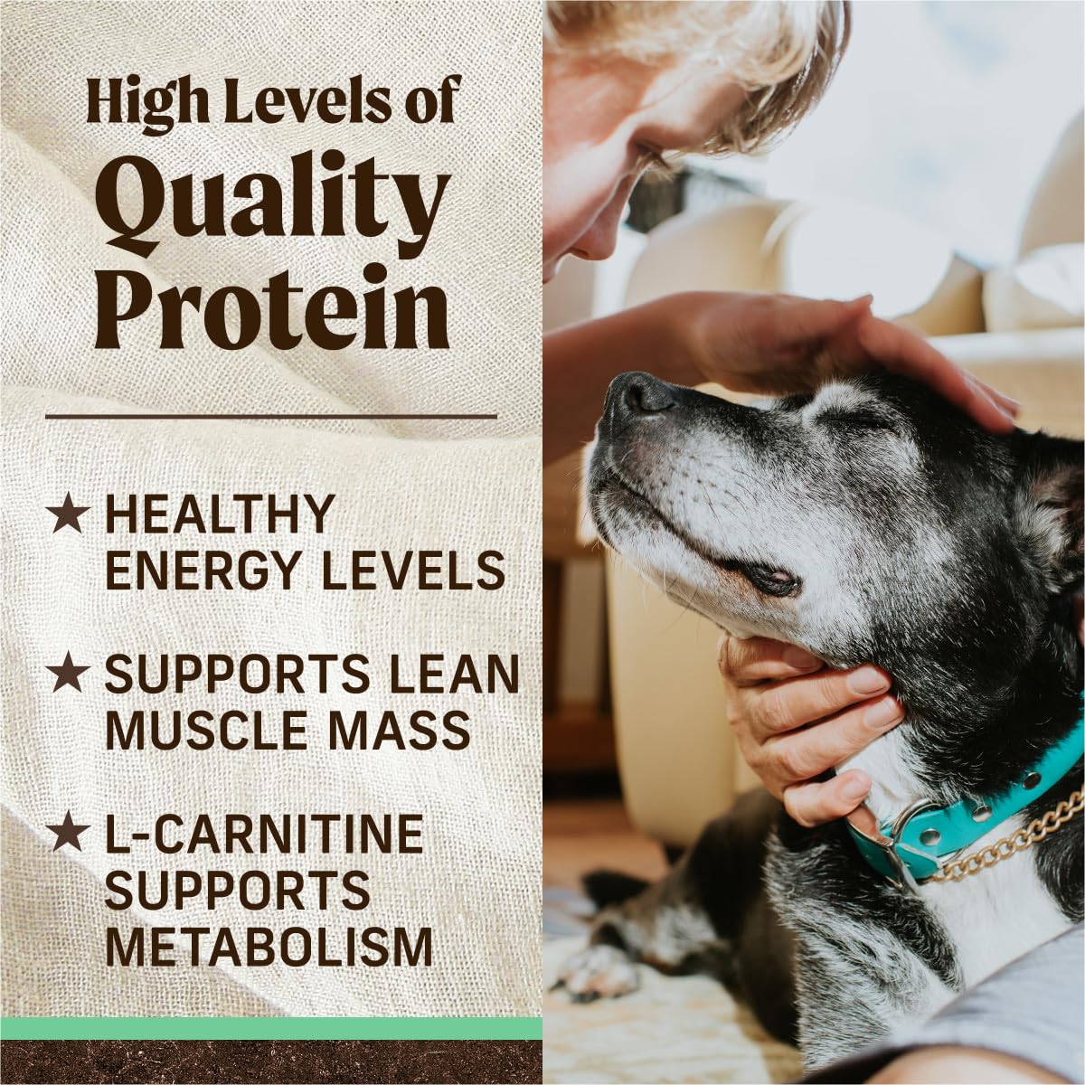 **Merrick Premium Grain-Free Dry Senior Dog Food - Wholesome Natural Kibble with Real Chicken & Sweet Potato - 22 lb Bag - Supports Joint Health & Digestion for Aging Dogs**