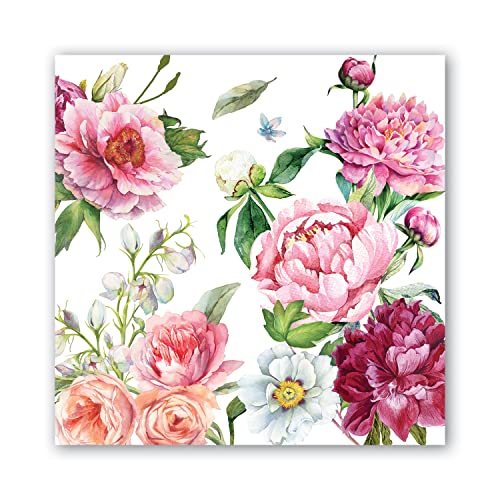 Blush Peony