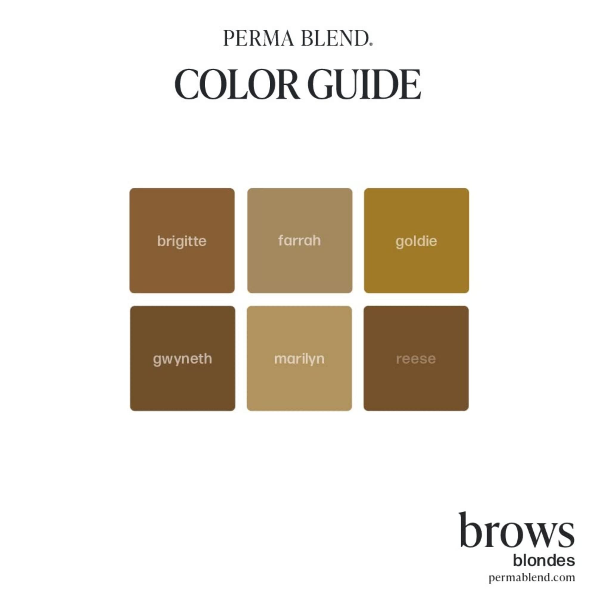 Perma Blend Eyebrow Pigment - Gwyneth 0.5oz for Microblading & Permanent Makeup